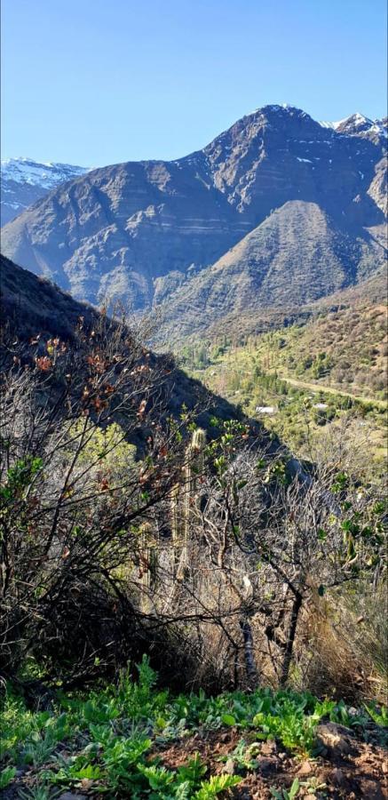 Vila Refugio Cordillera Flora Endogena Bosque Esclerofilo San José de Maipo Exteriér fotografie